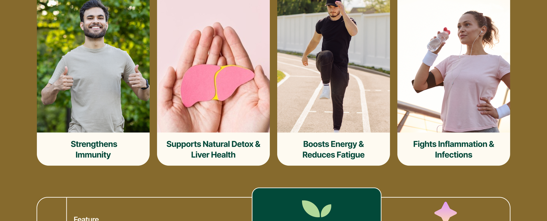 MYHERB 100% Natural Organic Guduchi Powder/Giloy Powder (Tinospora cordifolia) || 227 Gm/0.5 Lbs || Ayurvedic Powder || Help To Increase Immunity For Men & Women