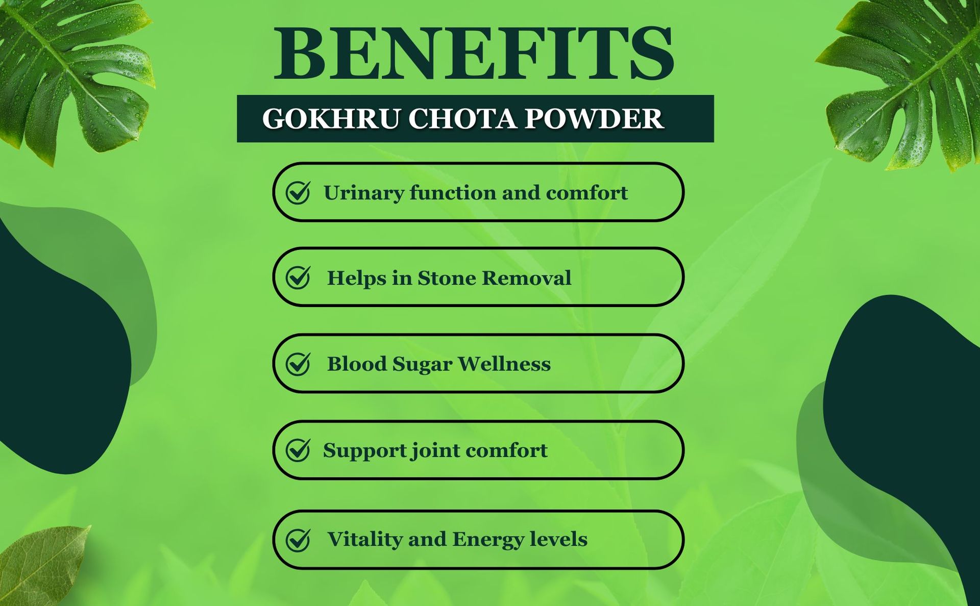Brijbooti Gokhru Chota Seeds Powder - (250 Gr) | Tribulus Terrestris Powder | Gokshura | Small Caltrops | FSSAI, GMP, ISO Certified
