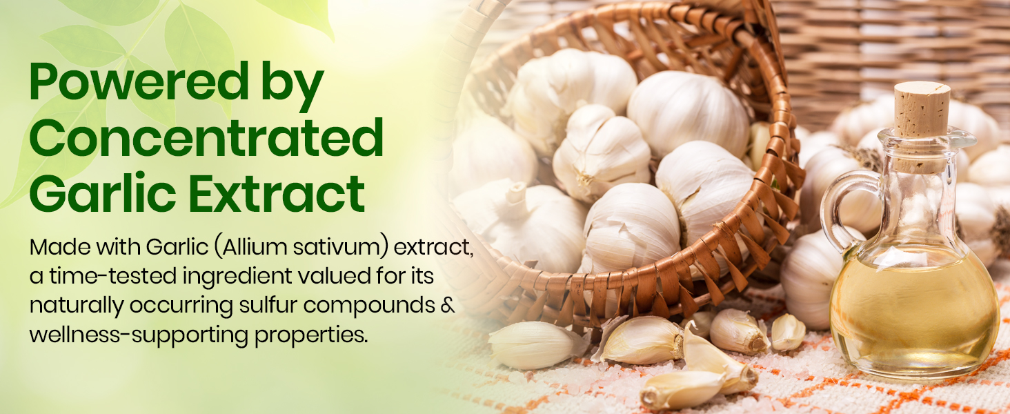 Vlado’s Himalayan Organics Garlic 500Mg Supplement - 60 Veg Capsules | Extract (1:13) Allium Sativum - 2 % For Heart Health, Digestion & Cholesterol Support | Boost Immunity, Supports Blood Pressure & Cardiovascular Wellness | Natural Antioxidant