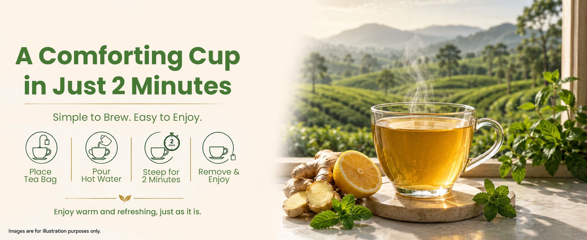 Celest Ginger Mint Lemon Green Tea 400 Tea Bags | Immunity Support | Refreshing & Energizing | Pack of 4