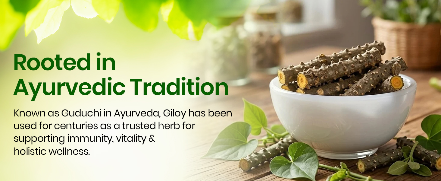 Vlado’s Himalayan Organics Giloy Extracts(GUDUCHI)500Mg | Antioxidant Properties | | Helps in Blood Purification | 120 Veg Tablets For Mens And Womens