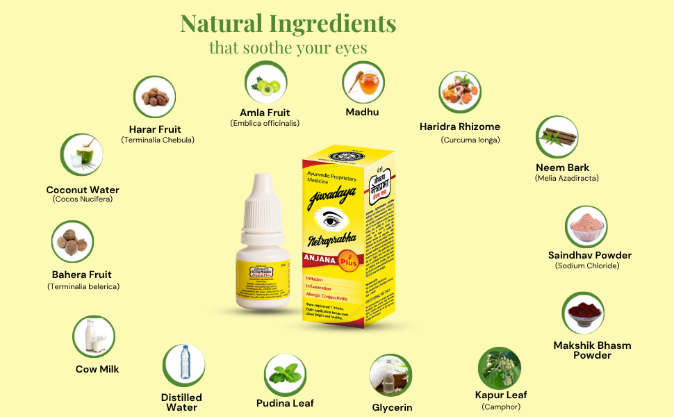 Jiwadaya Ayurvedic Netraprabha Anjana Plus for Refreshing, Dry Eye, Conjunctivitis, 5ml - 4 Bottles
