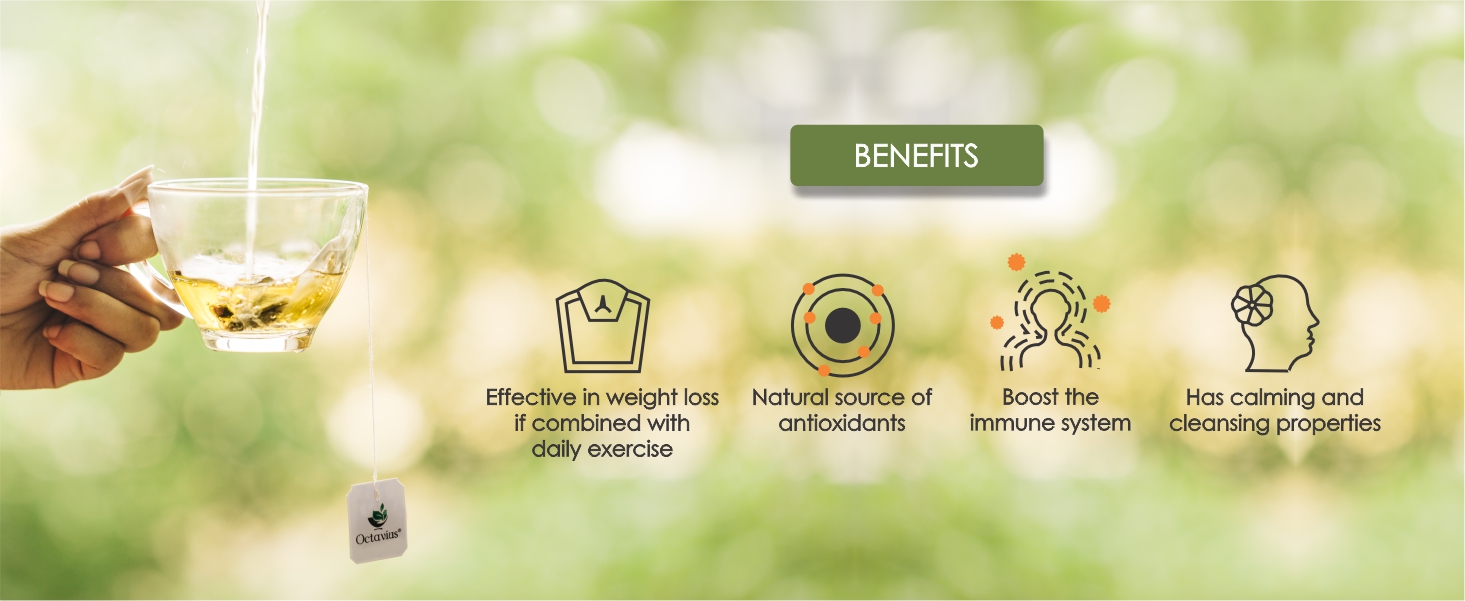 Octavius Pure Green Tea Bags - 200 Pieces | 100% Natural | Antioxidant-rich | Reduces Waist | Detox Green Tea Bag (1.7 gm x 200 Bags)