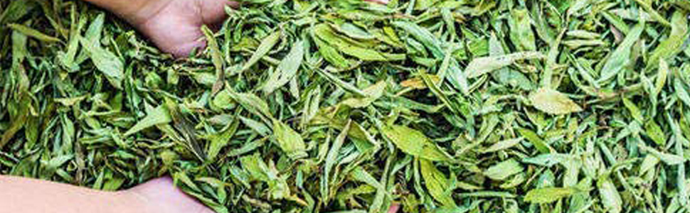 A D Food & Herbs Organic dried Stevia, Stevia Rebaudiana Leaves 1 Kg pack
