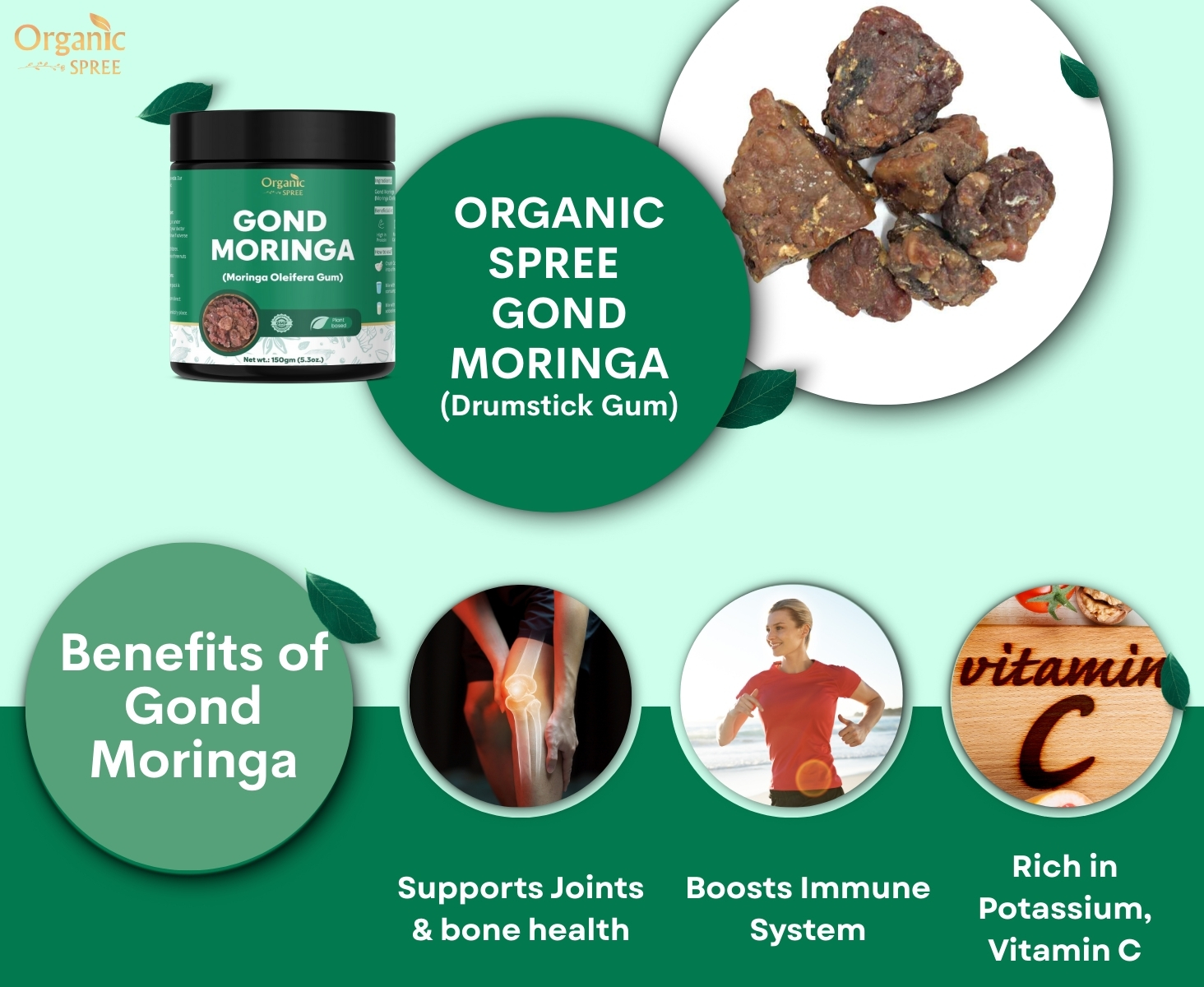 Organic Spree Gond Moringa 150grams | Moringa Gum | Edible Sahjan Gum | Pure, Natural & Plant Based (Pack of -1)