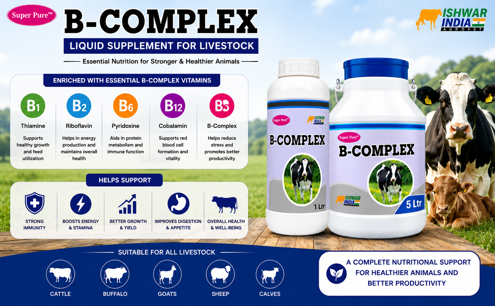 B-Complex Vitamin-B | Vitamin B Tonic for Cows, Goats, Buffaloes & Sheep | Boosts Immunity, Appetite & Nervous Health (1LTR)