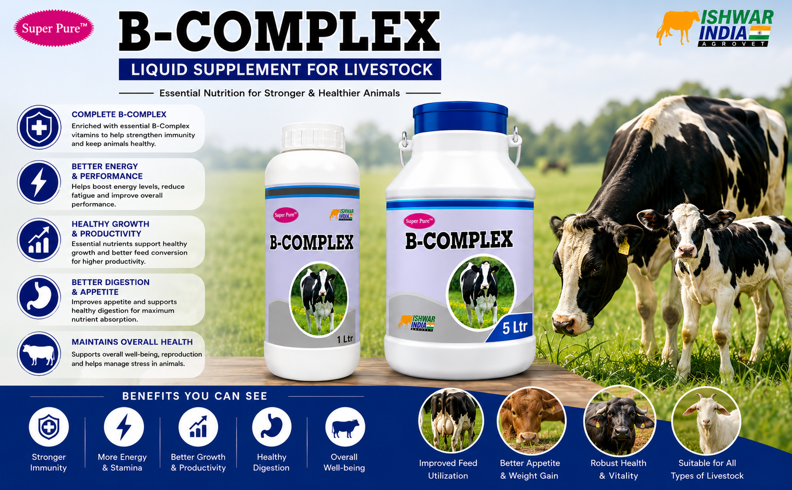 B-Complex Vitamin-B | Vitamin B Tonic for Cows, Goats, Buffaloes & Sheep | Boosts Immunity, Appetite & Nervous Health (1LTR)