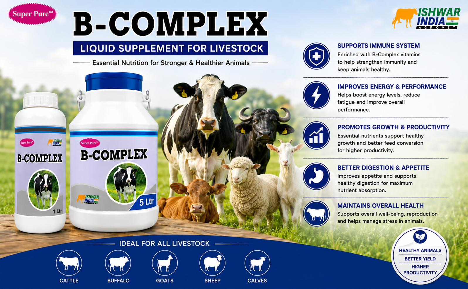 B-Complex Vitamin-B | Vitamin B Tonic for Cows, Goats, Buffaloes & Sheep | Boosts Immunity, Appetite & Nervous Health (1LTR)