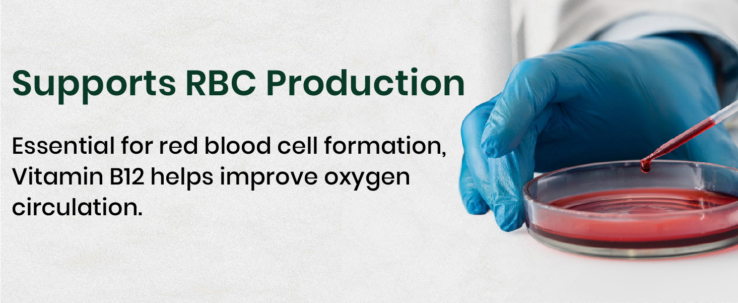 Vlado's Himalayan Organics Methylcobalamin Vitamin B12 1500mcg Supplement for Men & Women -10 Tablets (10 days Pack only)