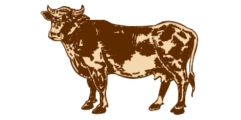 Feton Iron Tonic & Immunity Booster for Cow, Buffalo, Camel, Horse, Calf & Heifer, Goat & Sheep, Poultry, Swine, Cattle Feed Supplements Anfotal Nutritions (500 ml)