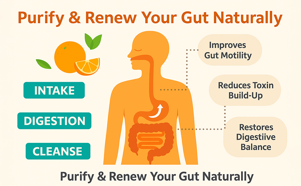 Biotane EasyDaily Detox I Natural Prebiotic Gut Cleansing Fiber blend | Made with 99% Pure Psyllium Husk & Wheat Fiber I Effective in single dose I100 gm Jar (Orange Flavour)