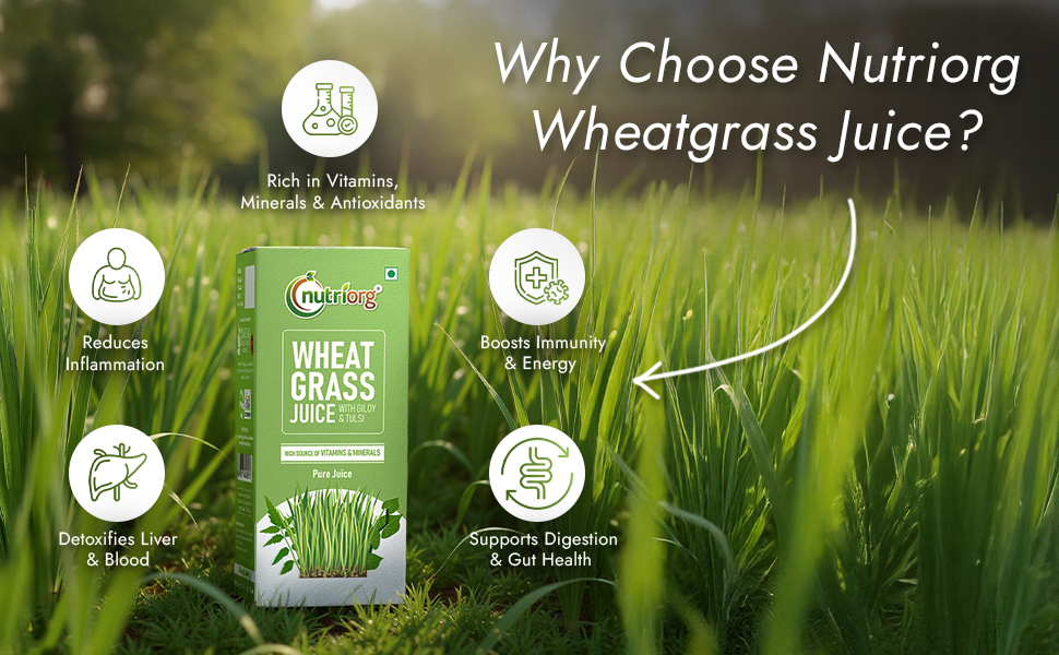 Nutriorg Wheat Grass Juice - 250ml | Natural Detox & Blood Purification | Supports Immunity & Digestion | No Added Sugar | Pure & Herbal Juice