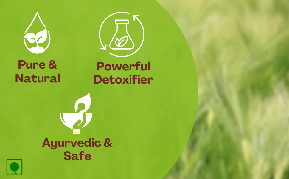 Ayurvedic Life DETOX HERBO - 60 Detox Tablet Pack of 2