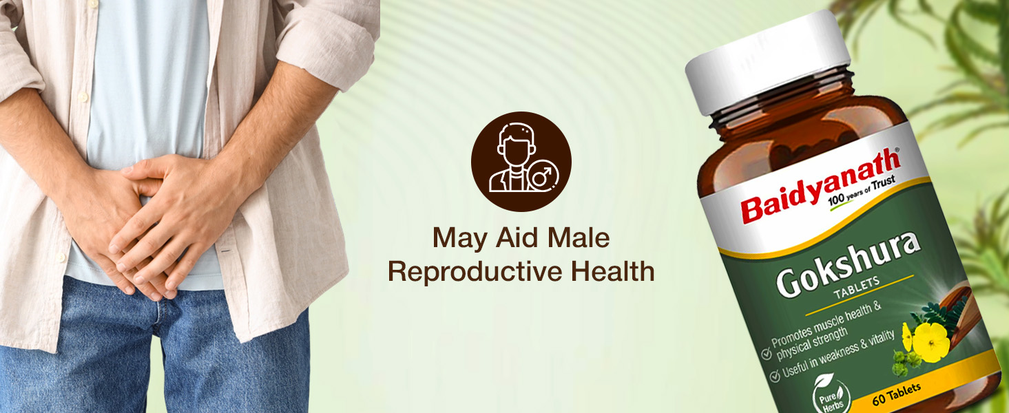 Baidyanath Ayurved Gokshura - 60 Tablets | Supports Strength & Vitality (Pack of 2)