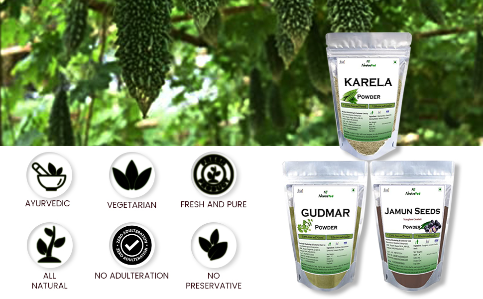 NeutraVed Combo Gurmar Powder, Karela and Jamun Seed for Blood Sugar Management (3 x 100g = Total 300g)