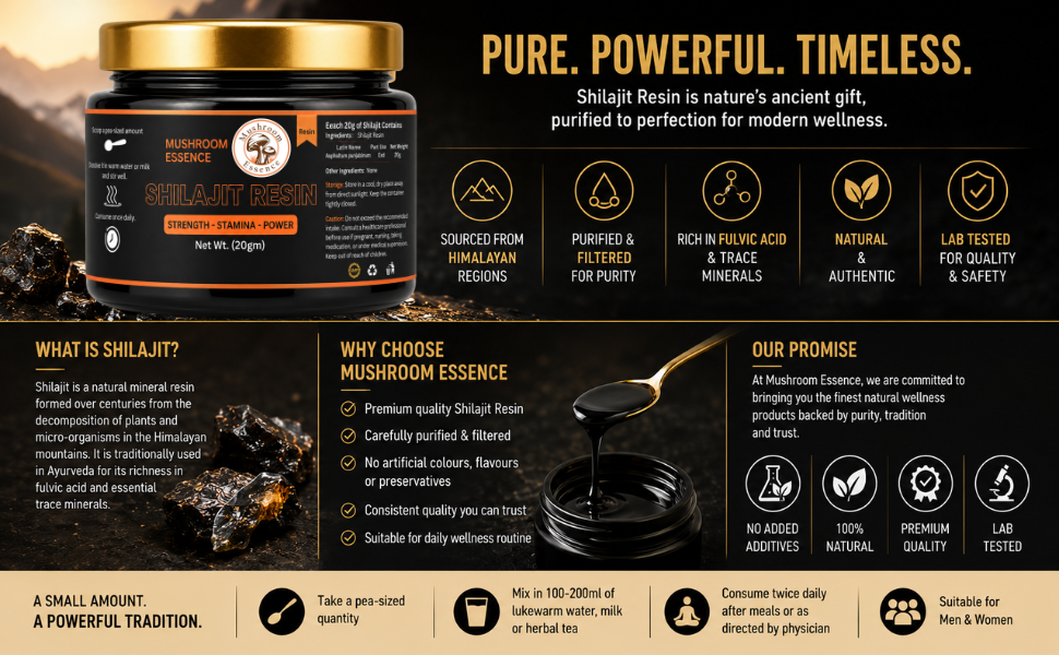 Shilajit Resin | Purified Himalayan Shilajit Resin |20g (pack of 1) for Energy & Immunity