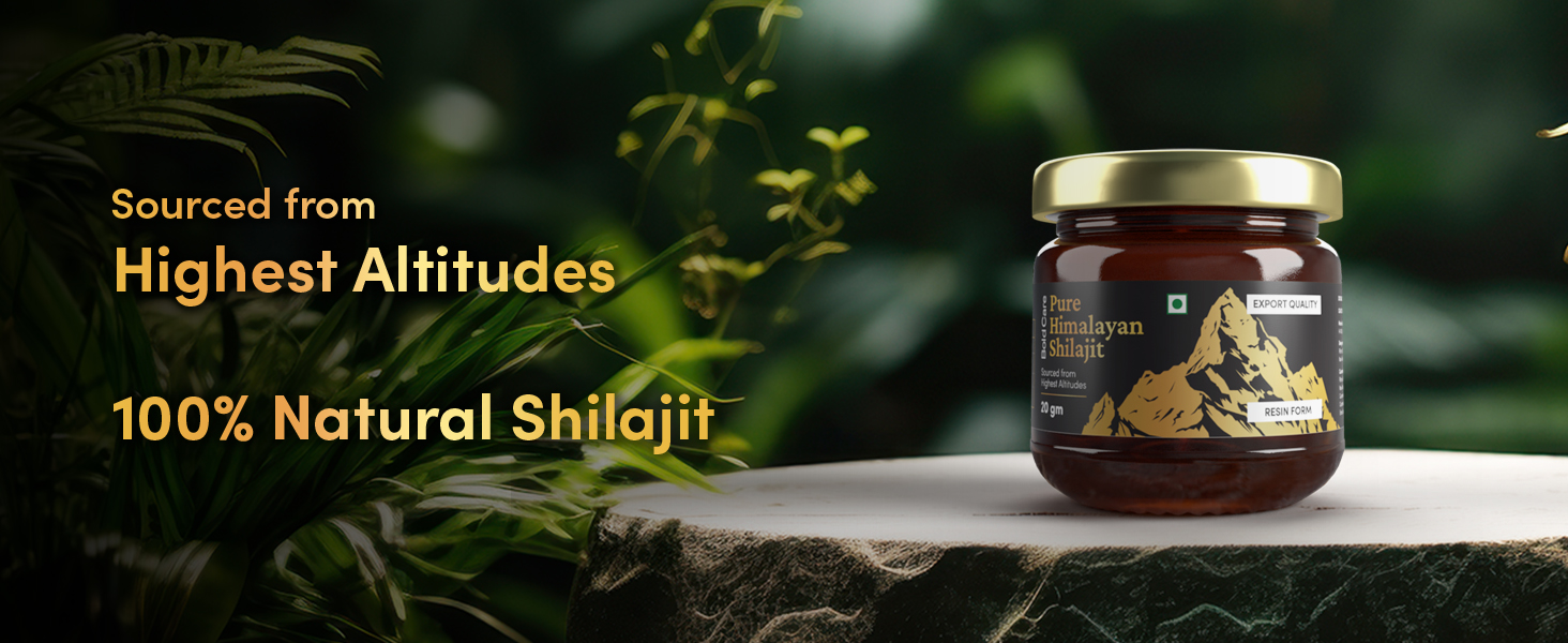 Bold Care Himalayan Shilajit Resin - 20 gm (20 gm (Pack of 1))