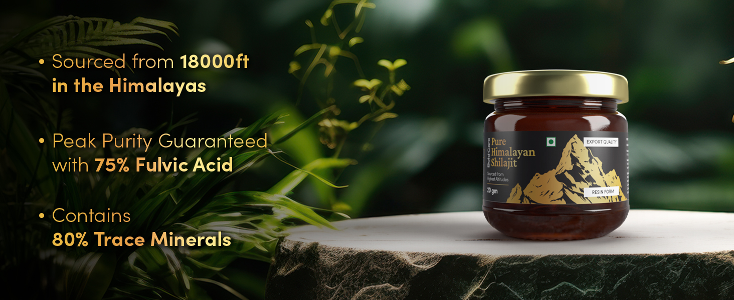 Bold Care Himalayan Shilajit Resin - 20 gm (20 gm (Pack of 1))