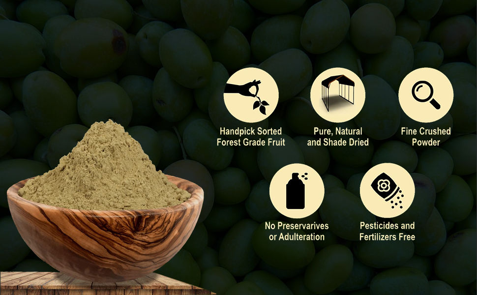Ketki Neem Bark Powder, 100 grams, Pack of 1 | Azadirachta Indica | Neem Chaal Powder| Nimbaka