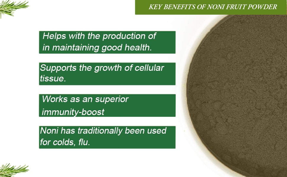 Noni Fruit Powder-100g | Morinda Citrifolia Powder | Achi | Cheese Fruit | Beach Mulberry, 100g | Helps to Enhance Energy