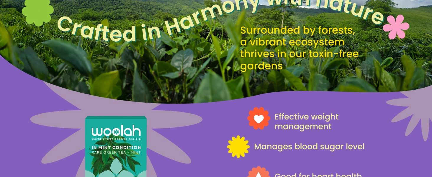 Woolah Rare Assam Green Tea With Mint, Organic Bagless Tea Dip (2 Packs = 30 Dips /60 Cups) 100% Plastic Free, Rich In Antioxidants Supports Weight Management, Skin And Heart Health,