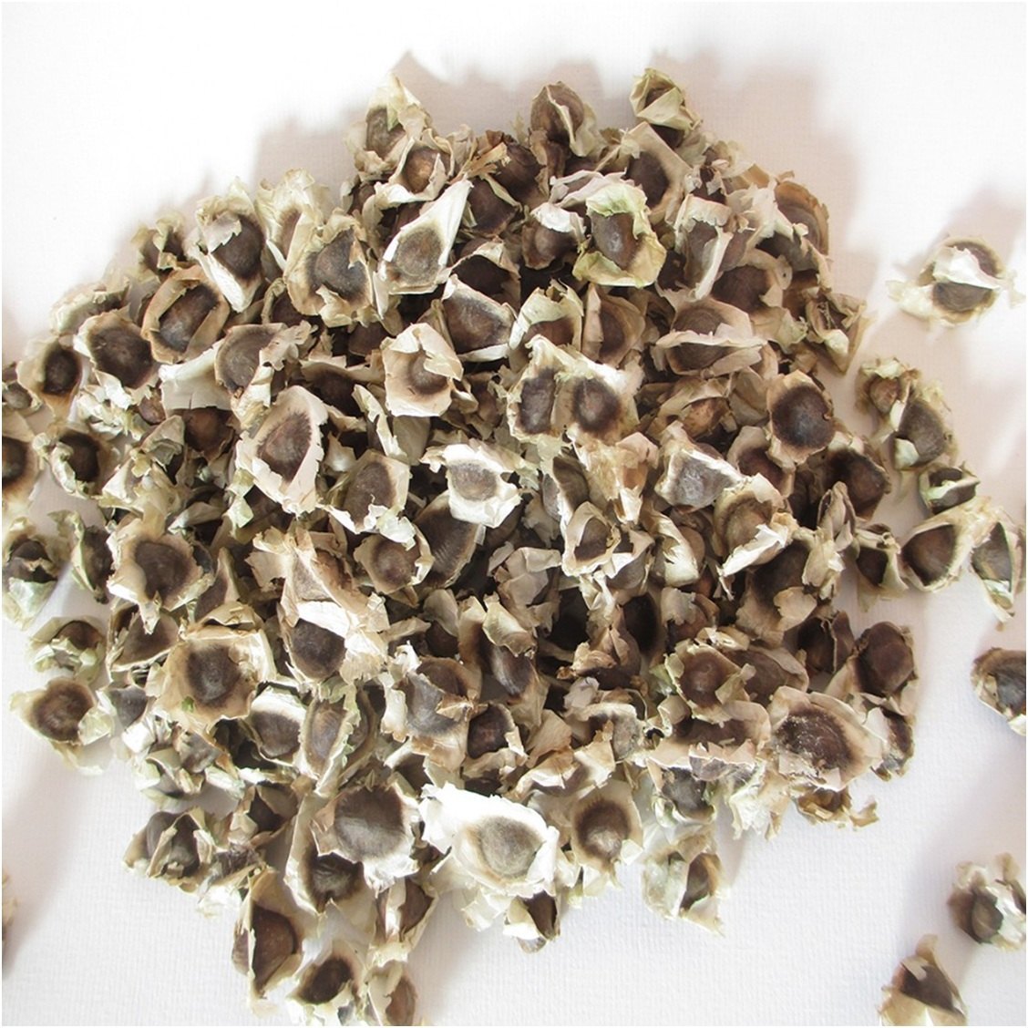DIETS ORGANICS Murungai keerai seeds -200 /| Natural Moringa seeds/Moringa seeds/DRUMSTICK seeds raw -200Gms pack of 1