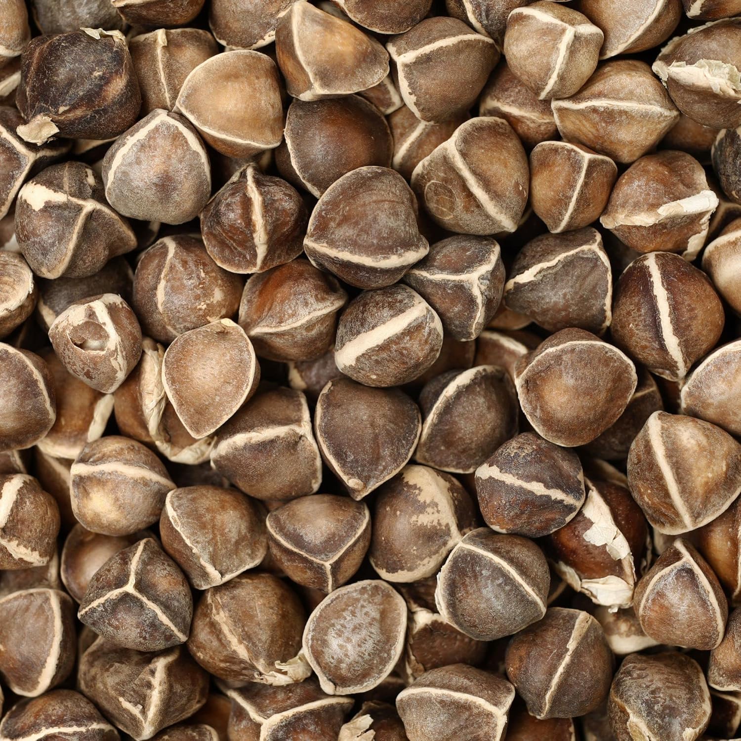 DIETS ORGANICS Murungai keerai seeds -200 /| Natural Moringa seeds/Moringa seeds/DRUMSTICK seeds raw -200Gms pack of 1