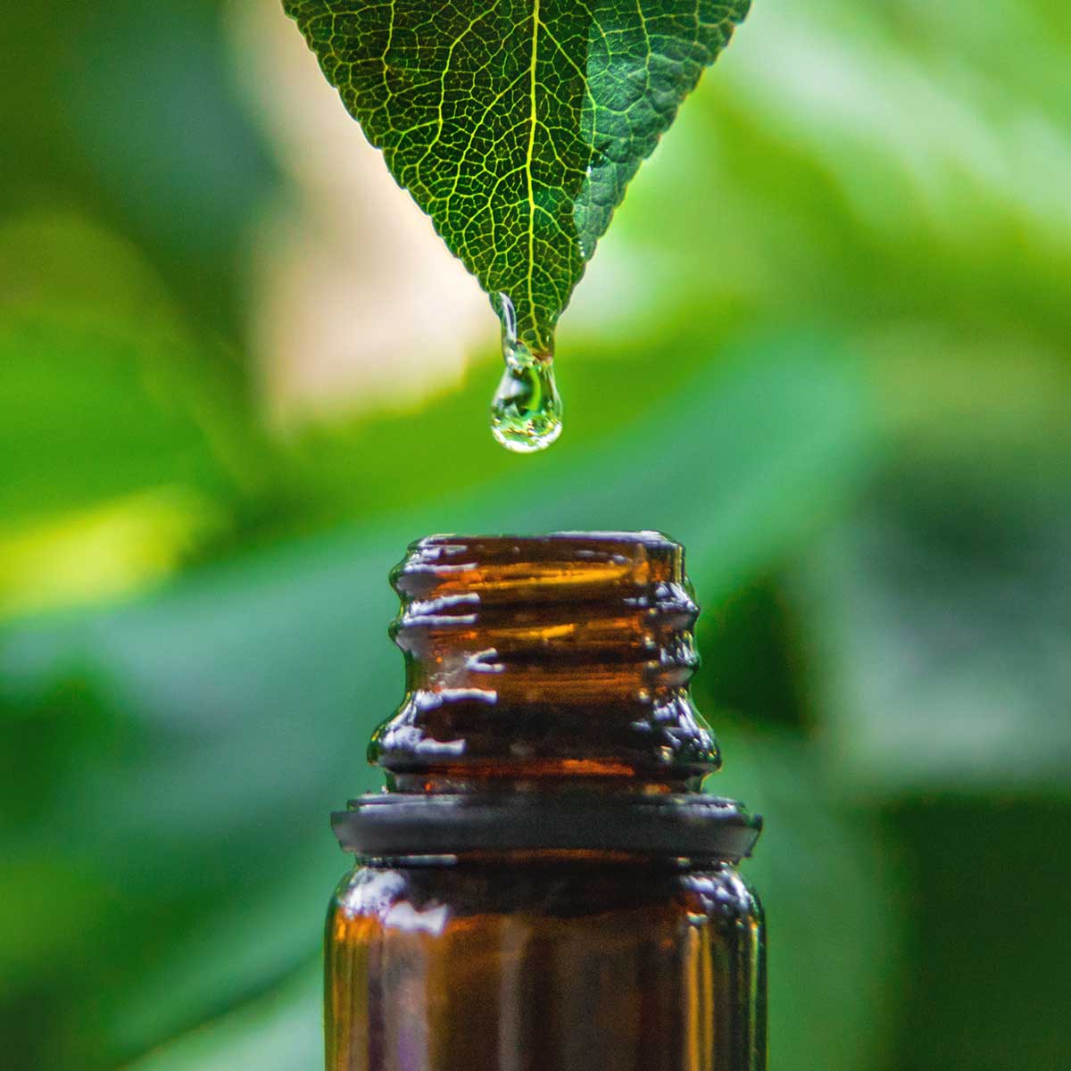 Merlion Naturals Licorice Tablets, Glycyrrhiza glabra, 500mg (120 Tablets)