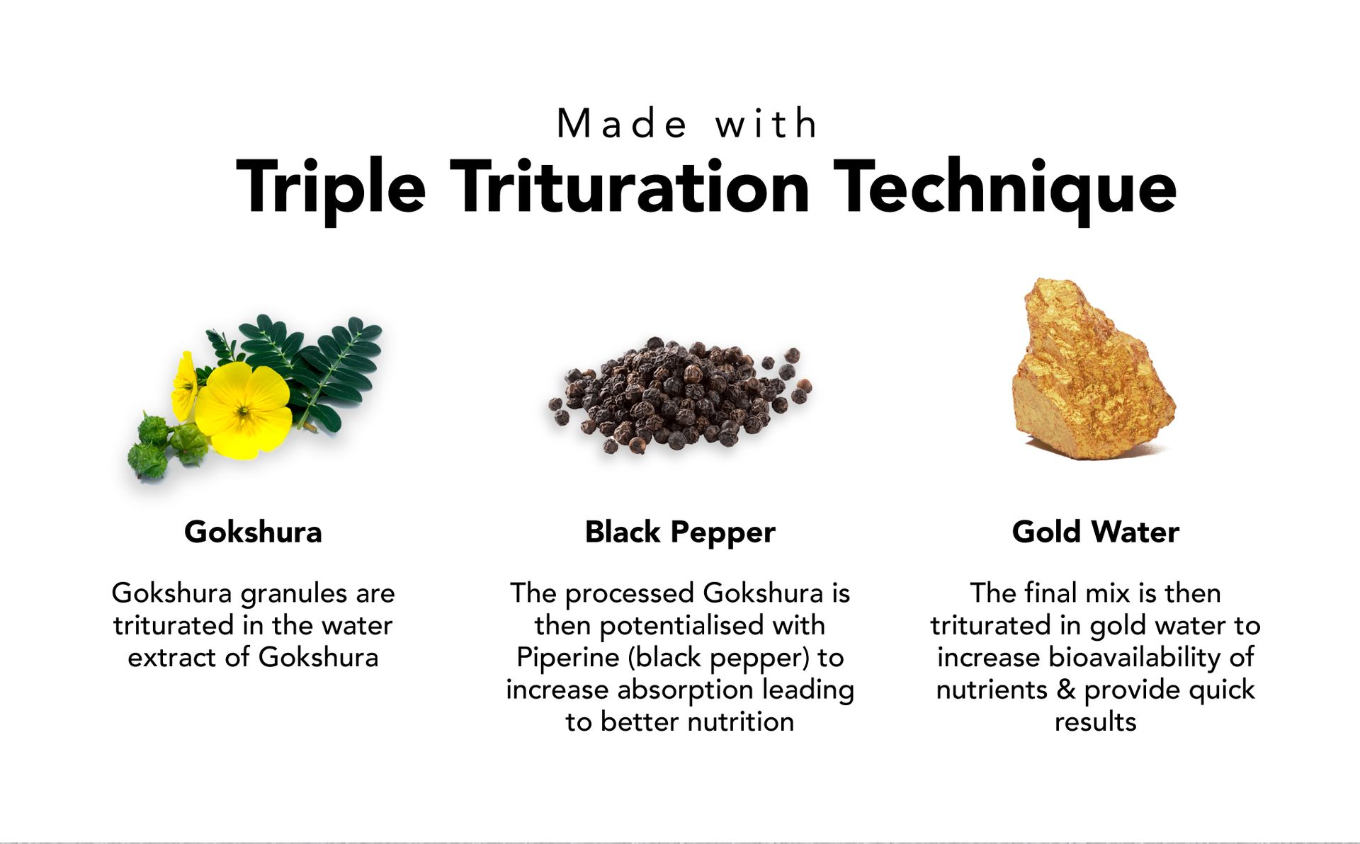Gokshura/Tribulus Capsules | Processed using TTT-120 | 500 mg - 60 Capsules | Benefits include Better Strength, Stamina & Recovery | Ideal for Gym and Athletes