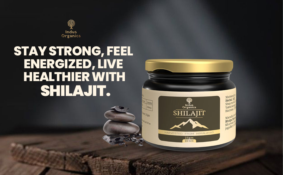 Himalayan Pure Shilajit Resin 25gm for Strength, Stamina, Focus,Vitality & Performance | Pack of 1