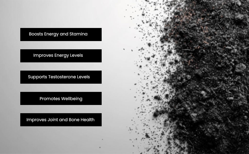 Himalayan Pure Shilajit Resin 25gm for Strength, Stamina, Focus,Vitality & Performance | Pack of 1