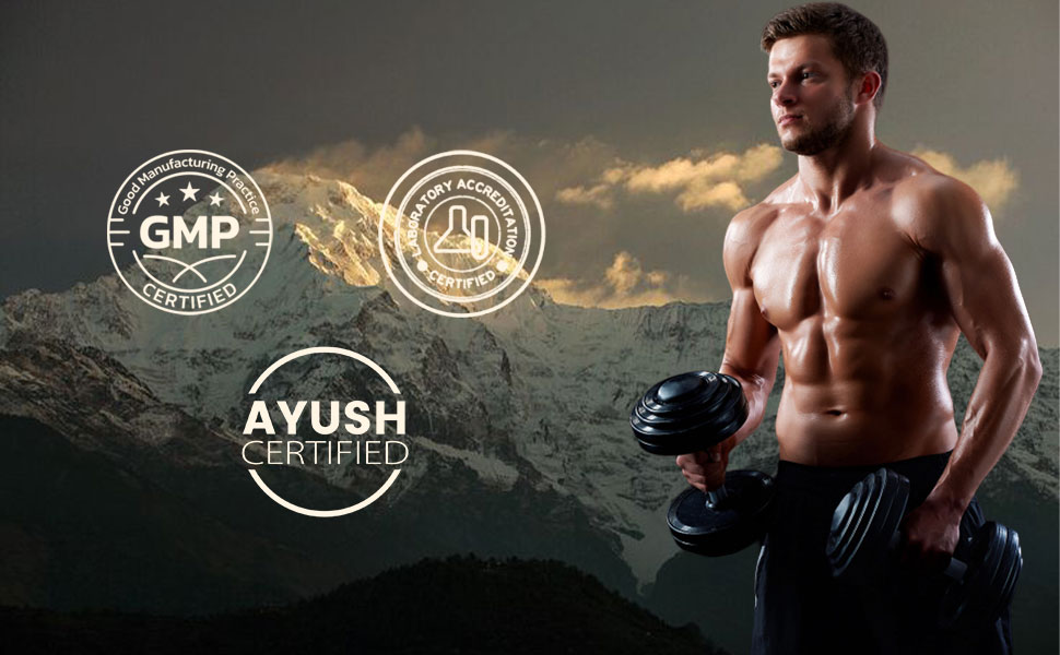 Himalayan Pure Shilajit Resin 25gm for Strength, Stamina, Focus,Vitality & Performance | Pack of 1