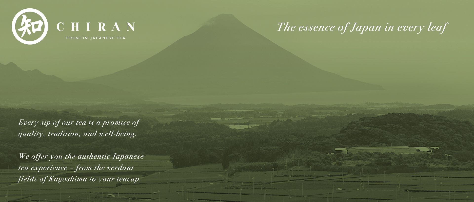 CHIRAN Original Japanese Sencha Green Tea Bags Award-Winning Premium Japanese Green Tea | Sourced From Kagoshima Japan | 15 Pyramid Tea Bags, 0.1 Kg