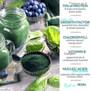 chlorella-spirulina-powder-organic-super-3.jpg