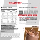 undefined-nutrition-gigantor-mass-gainer-2.jpg