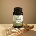terra-origin-healthy-mind-and-memory-sup-3.jpg