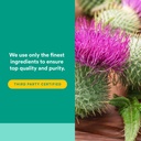 womensense-estrosense-by-natural-factors-5.jpg
