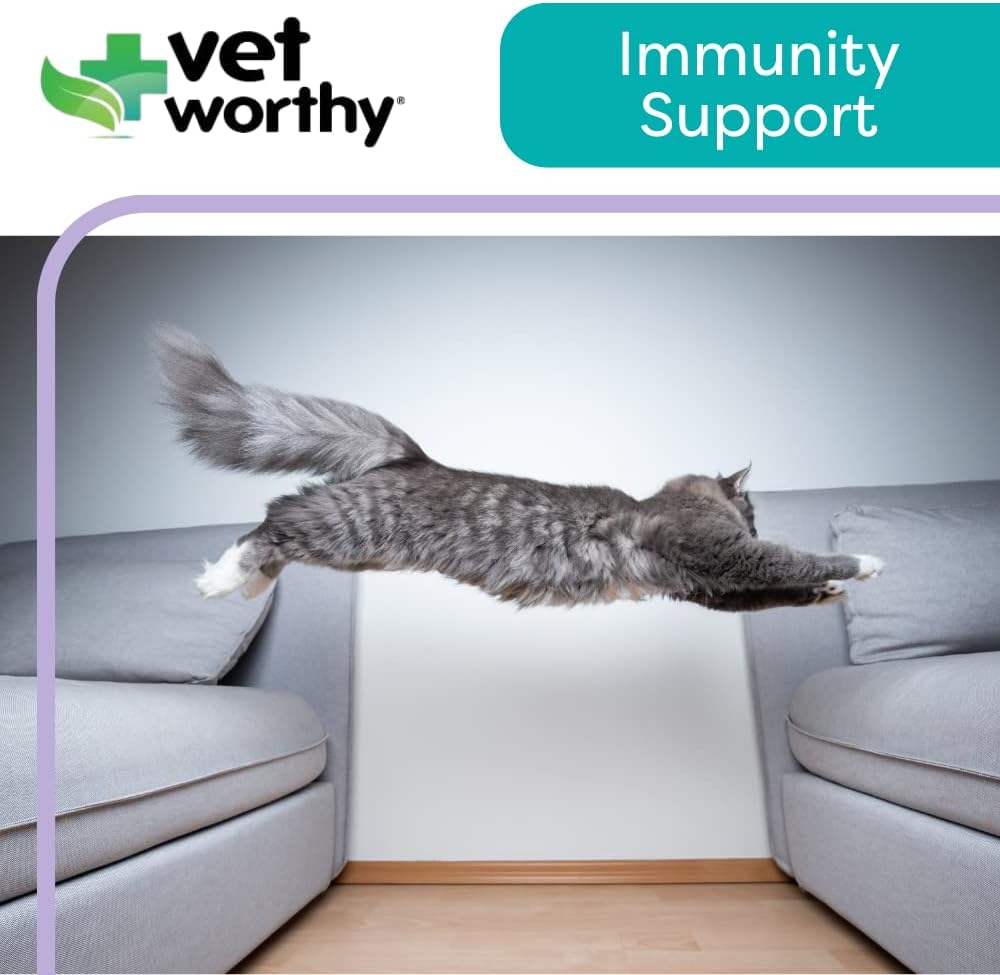 vet-worthy-lysine-paw-gel-aid-for-cats---4.jpg