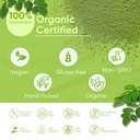 moringa-powder-organic-certified-moringa-5.jpg
