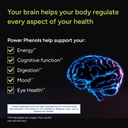 gundry-md-power-phenols-brain-health-sup-3.jpg