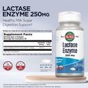 kal-lactase-enzyme-250-mg-healthy-digest-3.jpg