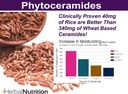 phytoceramides-rice-based-with-biotin-an-4.jpg