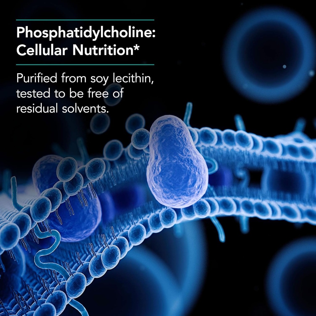 nutricology-phosphatidyl-choline-supplem-4.jpg