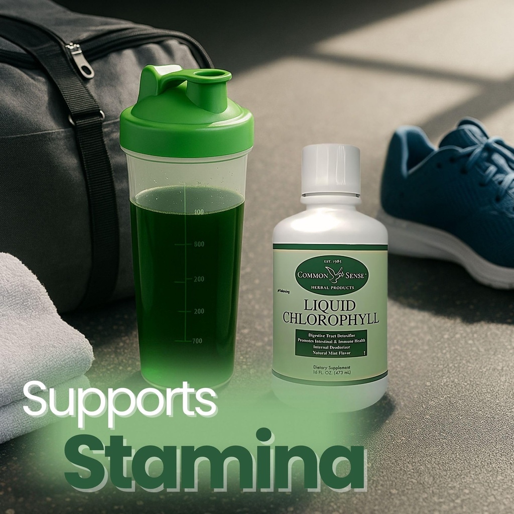 liquid-chlorophyll-16oz-natural-mint-fla-6.jpg