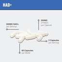 maac10-liposomal-nad-supplement-500mg-se-4.jpg