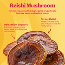 fungiments-super-chill---mushroom-supple-2.jpg