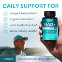 nad-elite-complex-direct-nad-300-mg-with-5.jpg