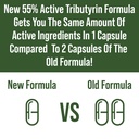 corebiome-tributyrin-postbiotic-suppleme-3.jpg