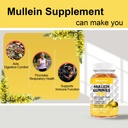 mullein-gummies-2000mg-organic-mullein-l-3.jpg