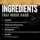 animal-tnt-test-booster-m-stak-muscle-bu-4.jpg